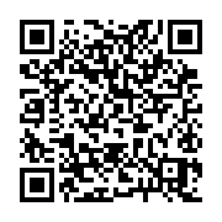 QR code for 221CIQ