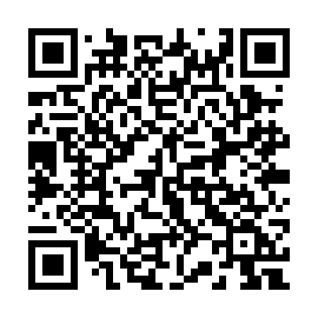 QR code for 221PGF