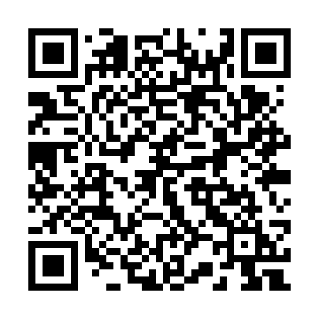 QR code for 221VSI