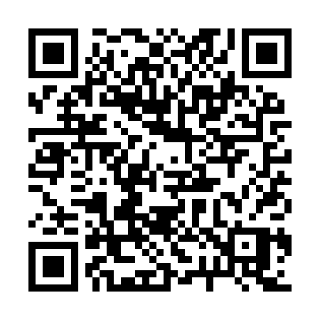 QR code for 221YPP