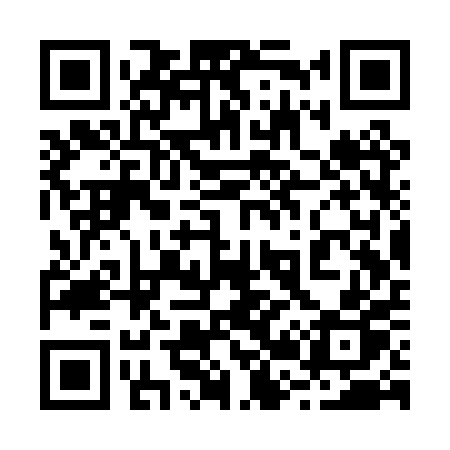 QR code for 223PPP