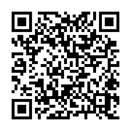 QR code for 225CMX