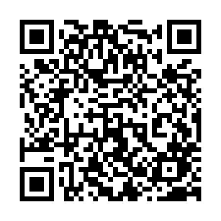 QR code for 225MXN
