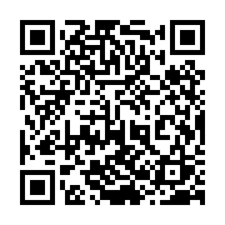 QR code for 225PSS