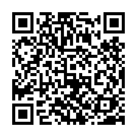 QR code for 225TCK