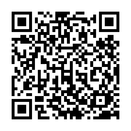QR code for 225TCO