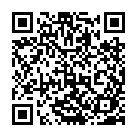 QR code for 228CIO
