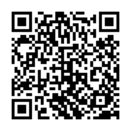 QR code for 228DZO