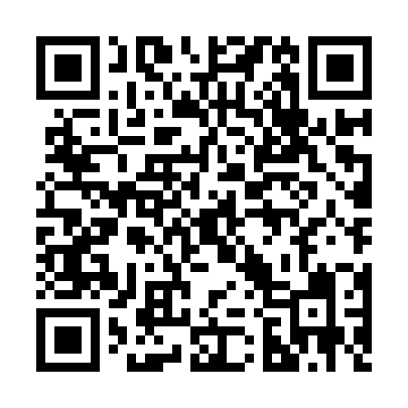 QR code for 228IZI