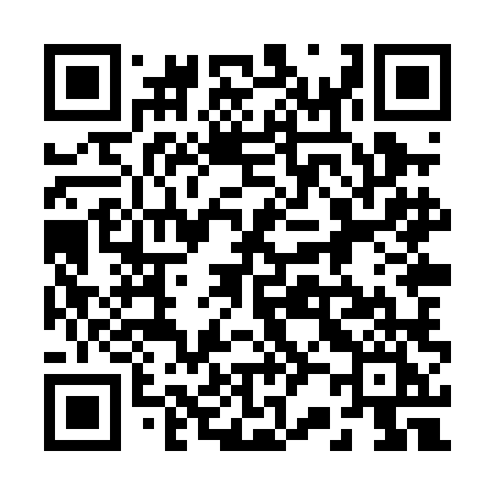 QR code for 228PLI