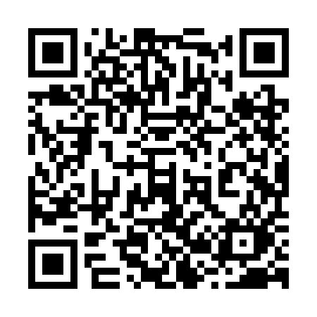QR code for 228SAO