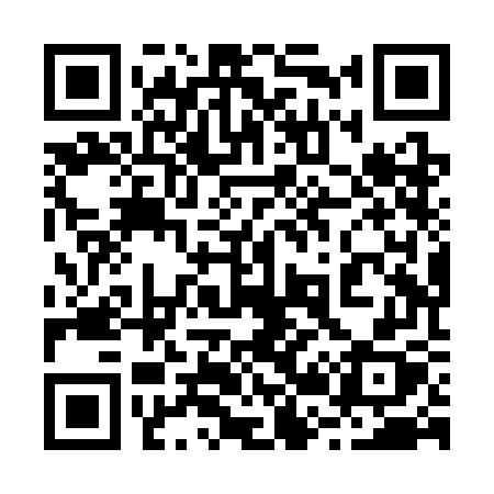 QR code for 228SGX