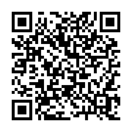 QR code for 228ZEF