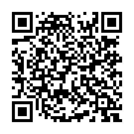 QR code for 233LED