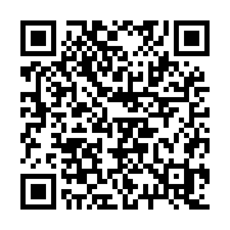 QR code for 233MGI