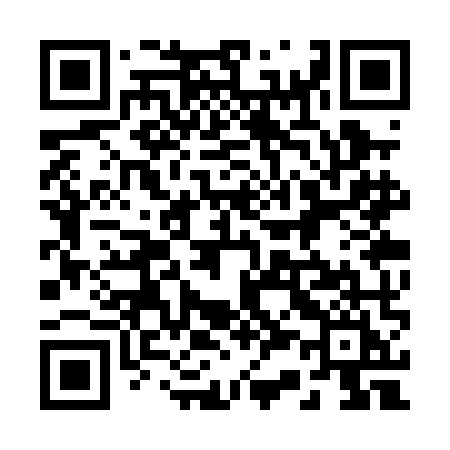 QR code for 233PMI