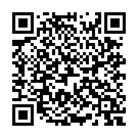 QR code for 238DET