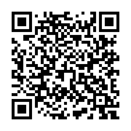 QR code for 238HIC