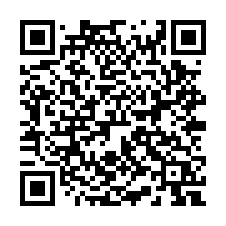 QR code for 238PVP