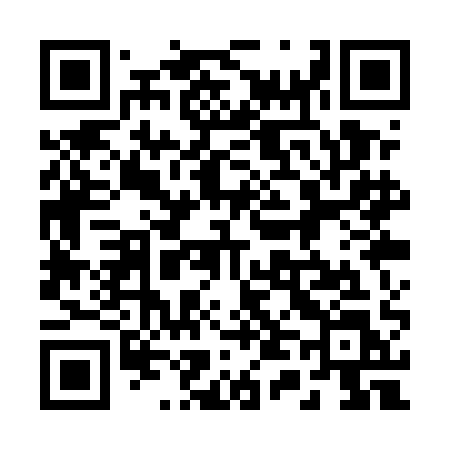 QR code for 241UAL