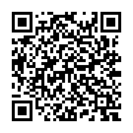 QR code for 241YEX