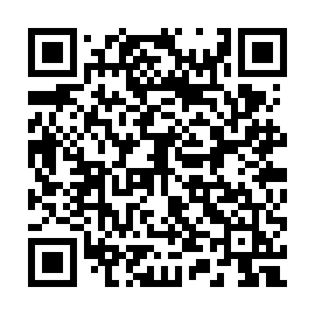 QR code for 243VEJ