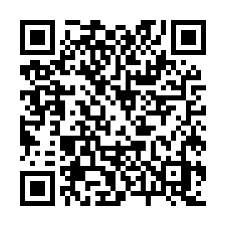 QR code for 245MZZ