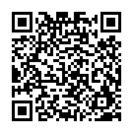 QR code for 250DSF