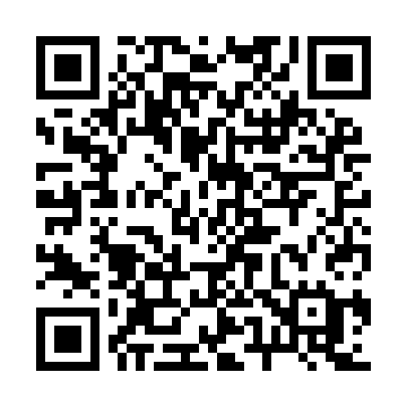 QR code for 253ICE