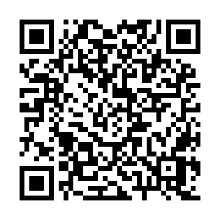 QR code for 256IOV