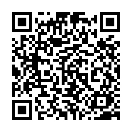 QR code for 256MGO