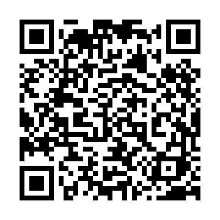QR code for 258PFI