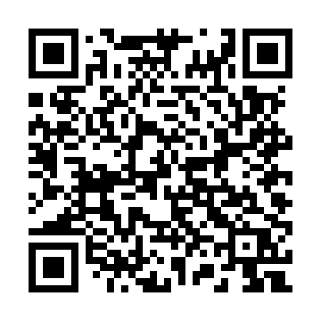 QR code for 264MPP