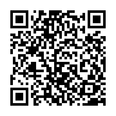 QR code for 289MIZ