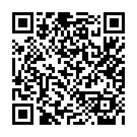 QR code for 290DYK