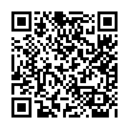 QR code for 290FLZ