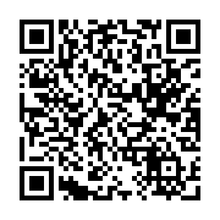 QR code for 290IRT