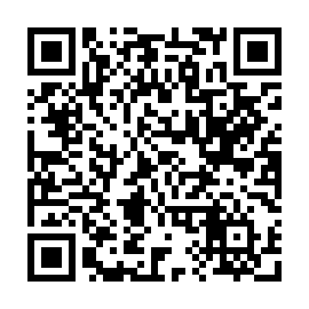 QR code for 290LMV