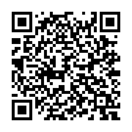 QR code for 290PAT