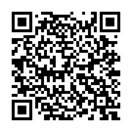 QR code for 290PEM