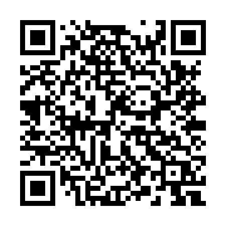 QR code for 290XVP