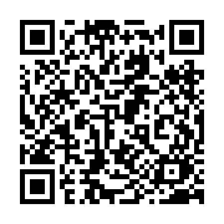 QR code for 291BGO
