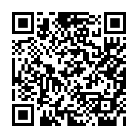 QR code for 291BZI