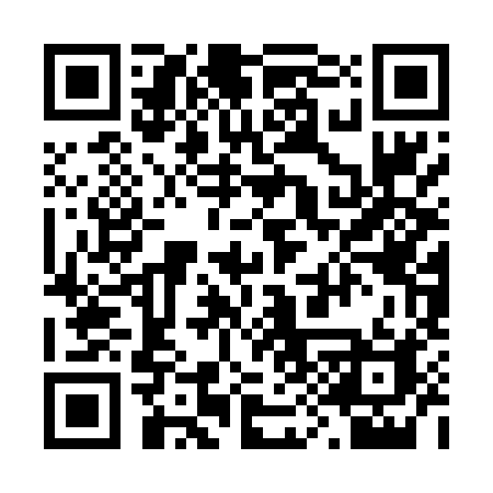 QR code for 291DXA