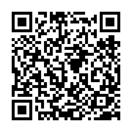 QR code for 291FLX