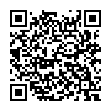 QR code for 291ICO