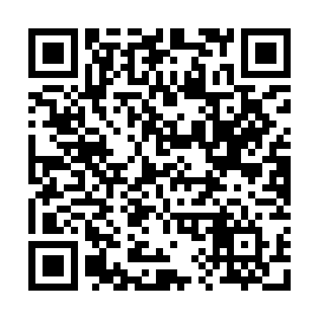 QR code for 291IGV