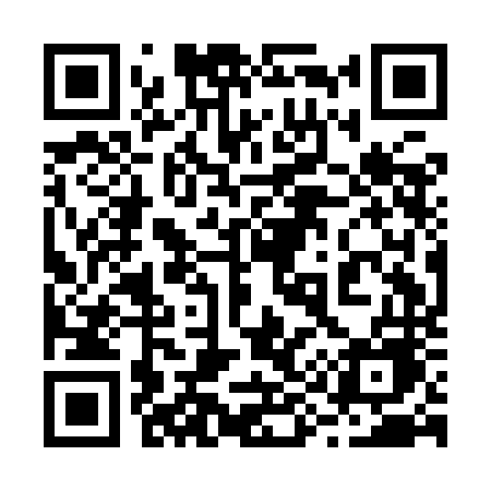 QR code for 291INE