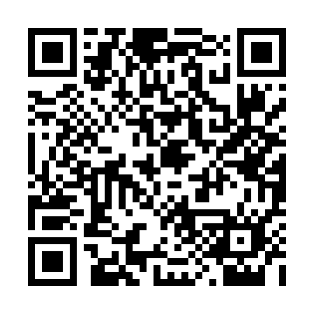 QR code for 291LSN