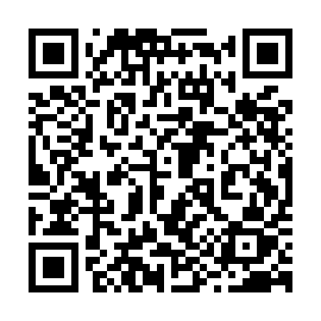QR code for 291MAZ